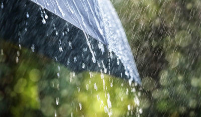 Stojaki na parasole - idealne na mokry parasol