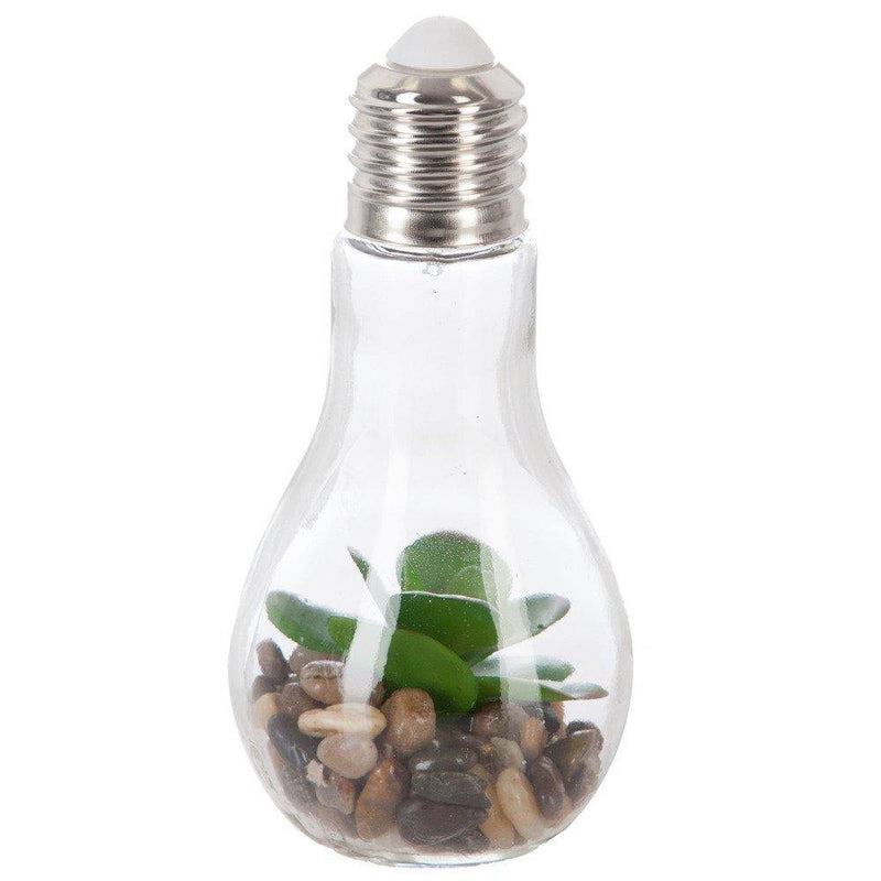 Sztuczne kwiaty w żarówce dekoracyjnej LED, 18,5 cm, suculent