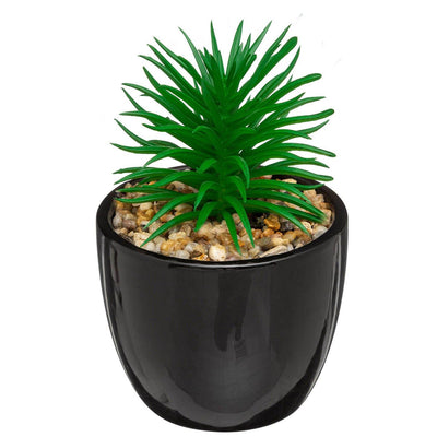 Sztuczna roślina SUKULENT, 18 cm, czarna doniczka