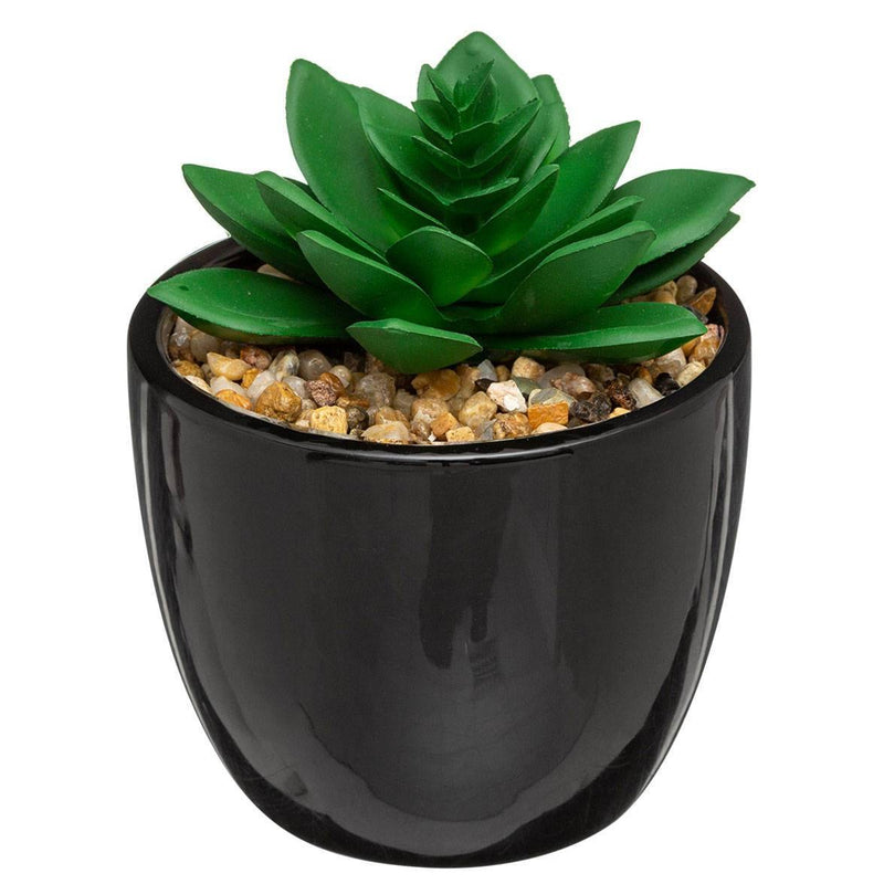 Sztuczna roślina echeveria SUKULENT, 18 cm, czarna doniczka