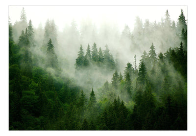 Fototapeta samoprzylepna - Górski las (zielony)