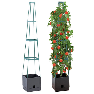 Doniczka z podporami do uprawy pomidorów, roślin pnących, 150 cm